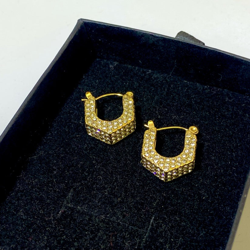 Branded Hexagon Earrings