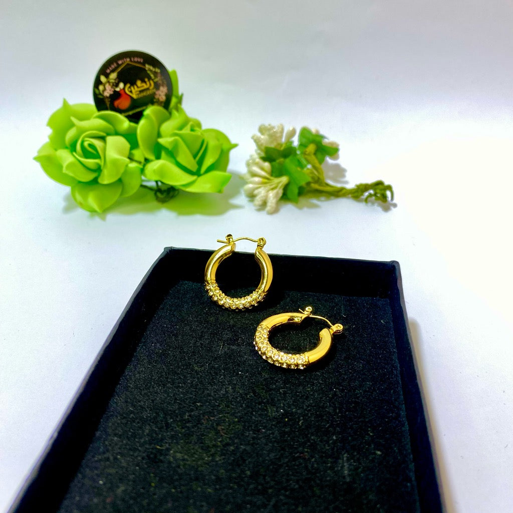 Beauty Zircon Earrings (Anti Tarnish)