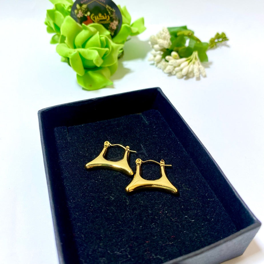 Gold Plated Earrings (Anti Tarnish)