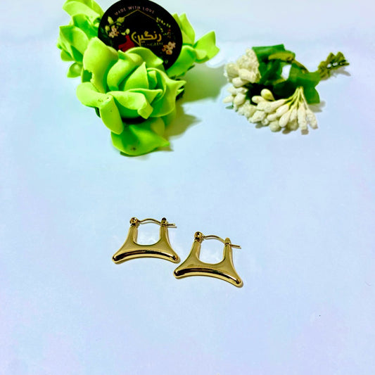 Gold Plated Earrings (Anti Tarnish)