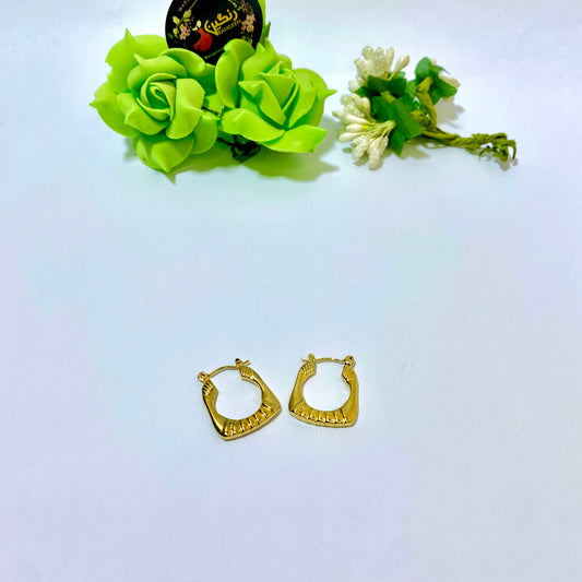 Gold Plated Hoop Earrings (Anti Tarnish)