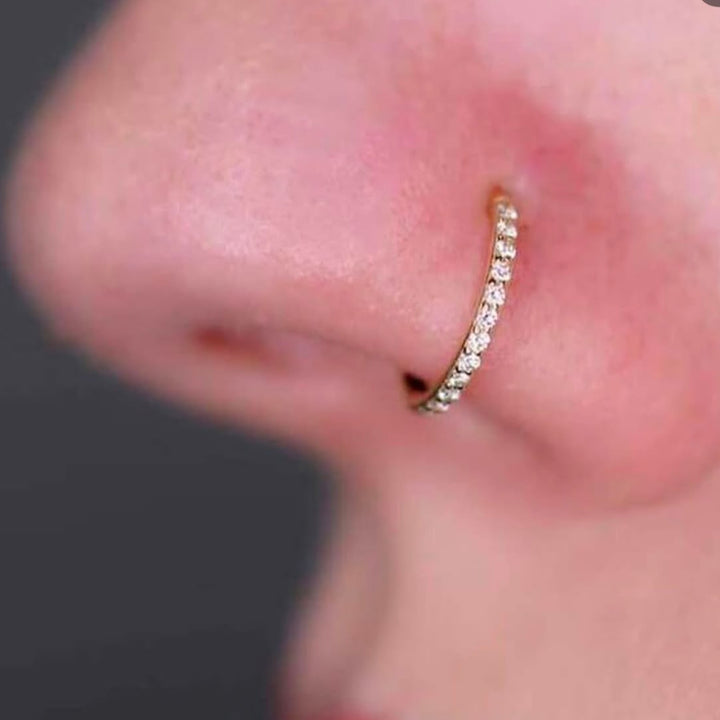 Crown Plain & Spiral NoseRing (3 Pcs)